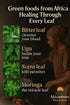 GREEN FOODS FROM AFRICAN HEALING THROUGH EVERY LEAF - IbileMeals